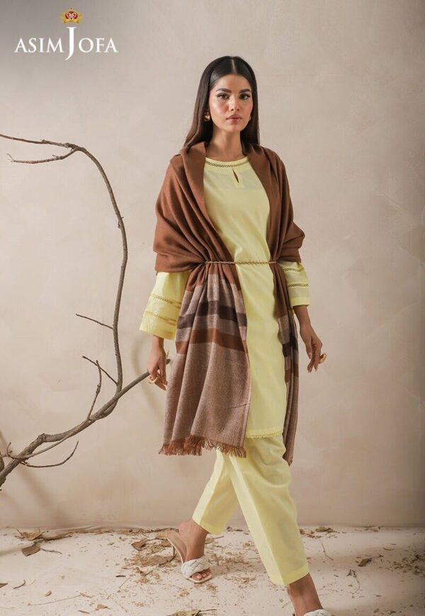 Asim Jofa Striped Border Yarn Dyed Stole Shawl Wrap, Pakistani Winter Stole - Image 5