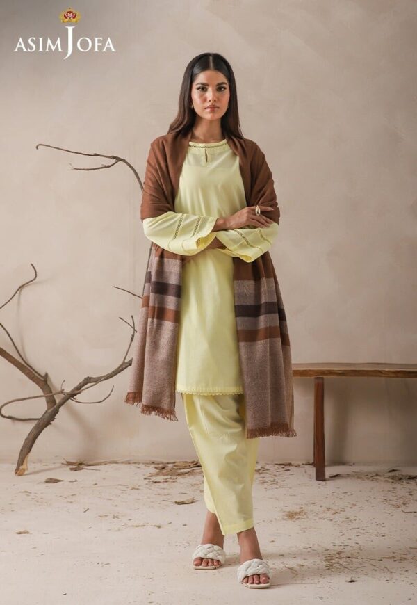 Asim Jofa Striped Border Yarn Dyed Stole Shawl Wrap, Pakistani Winter Stole