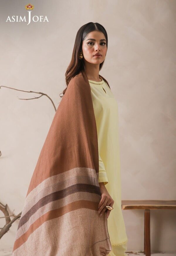 Asim Jofa Striped Border Yarn Dyed Stole Shawl Wrap, Pakistani Winter Stole - Image 2