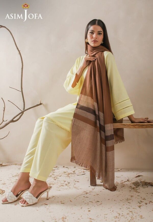 Asim Jofa Striped Border Yarn Dyed Stole Shawl Wrap, Pakistani Winter Stole - Image 3