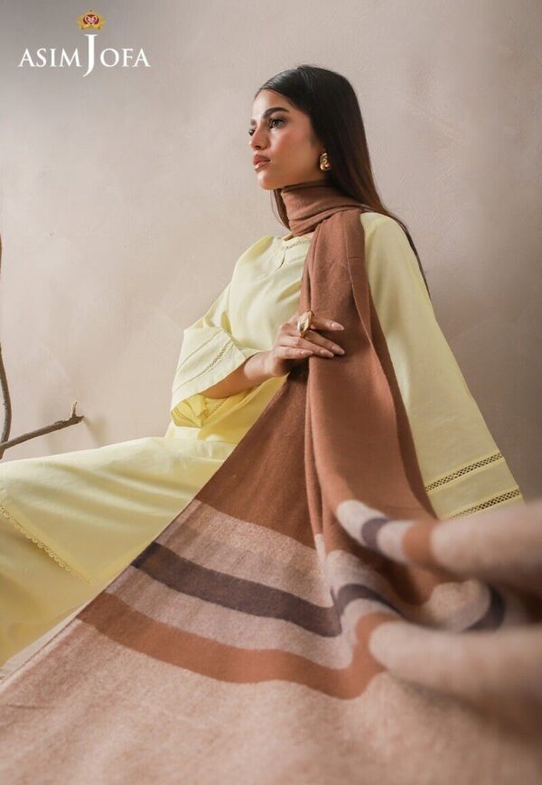 Asim Jofa Striped Border Yarn Dyed Stole Shawl Wrap, Pakistani Winter Stole - Image 4